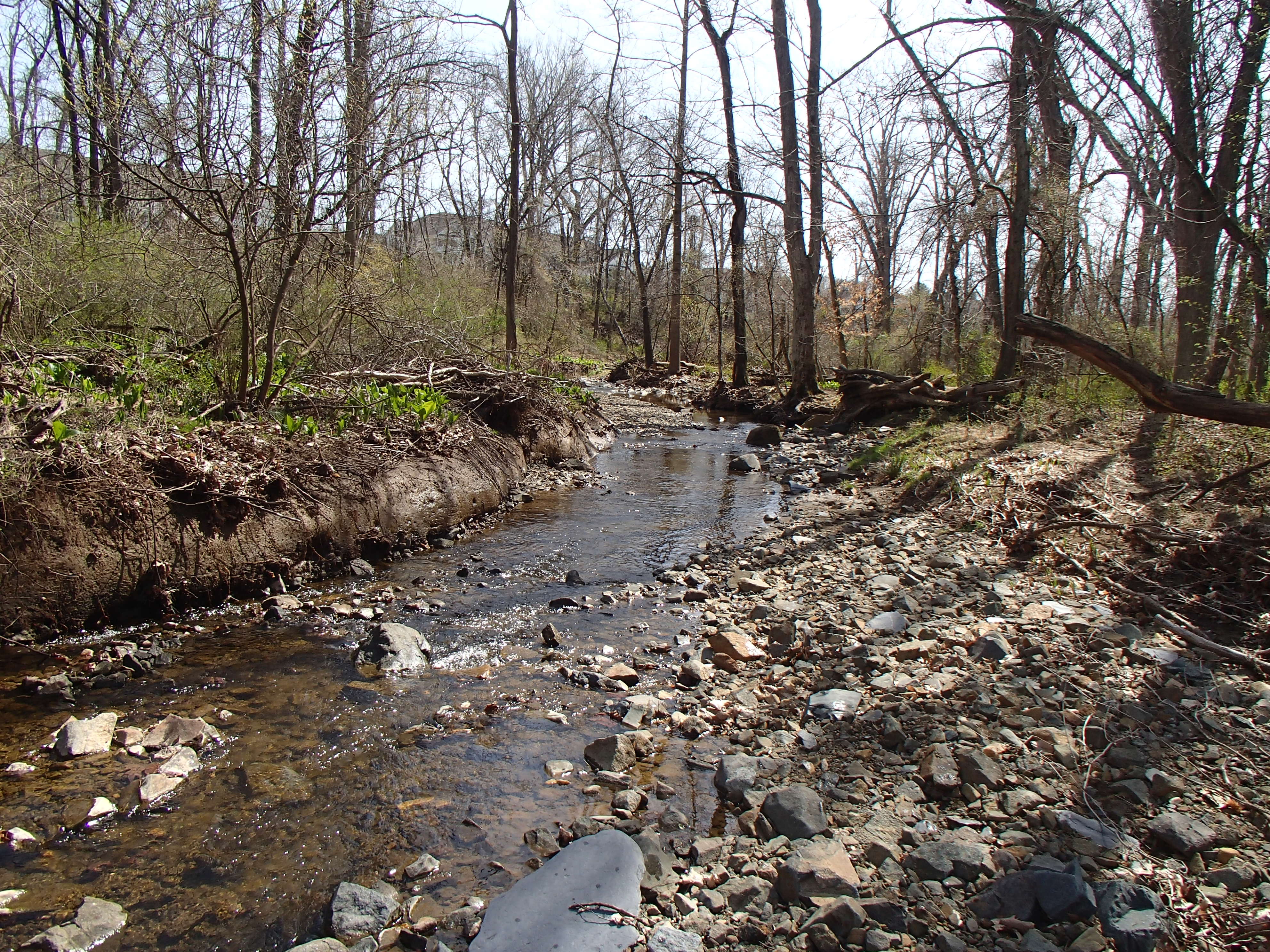 Field photo showing stream conditions at site ATKI-106-R-2016_midpoint downstream